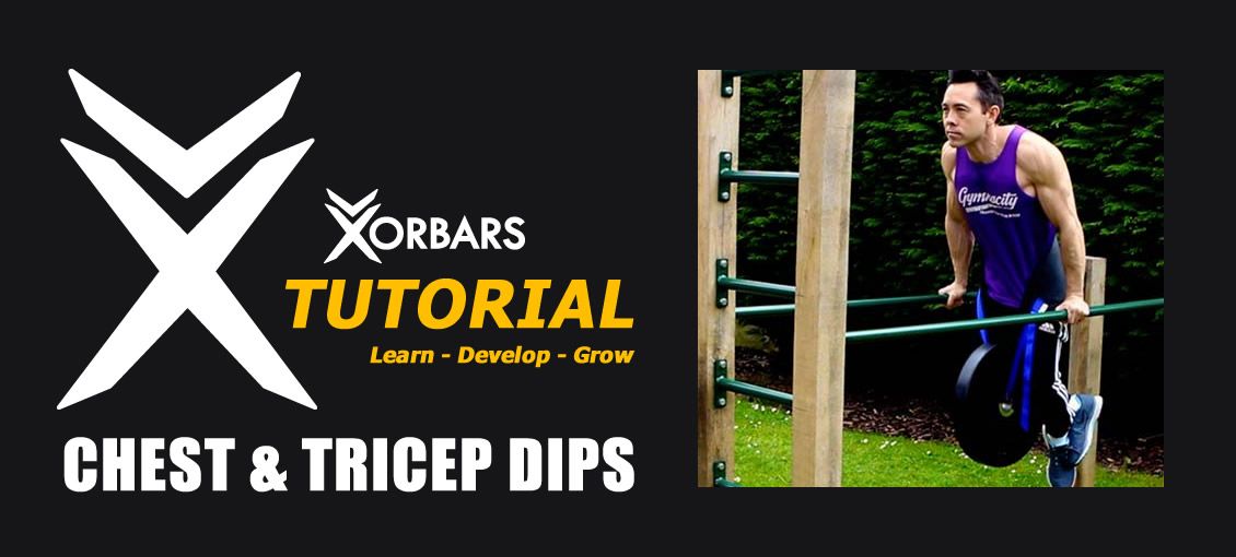 Chest & Tricep Dips on Parallel Bars