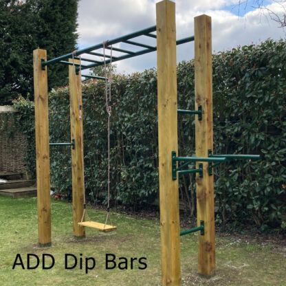 Monkey Bars with Dip Bars